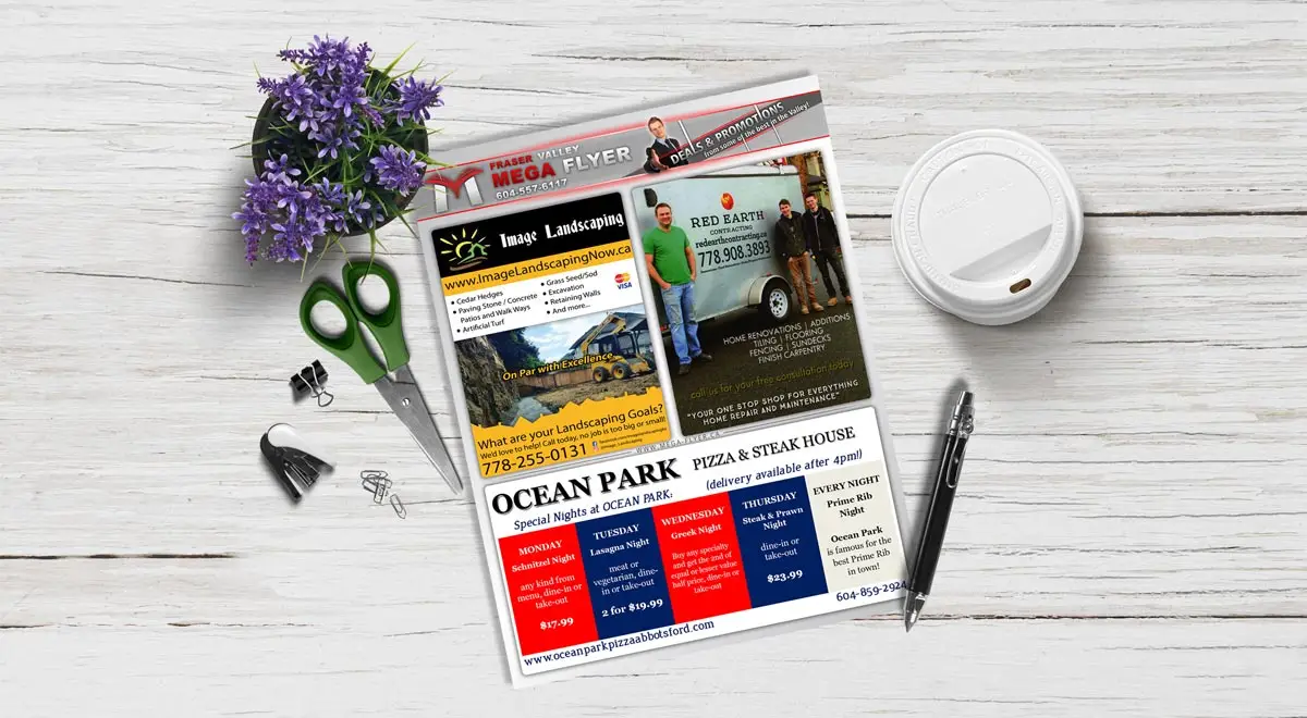Mega Flyer E.B. Web Recent Print Design Project Details