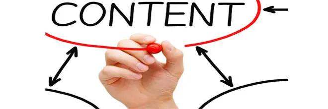 Professional SEO Content Writer