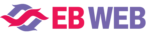 EB Web Professional Digital Marketing