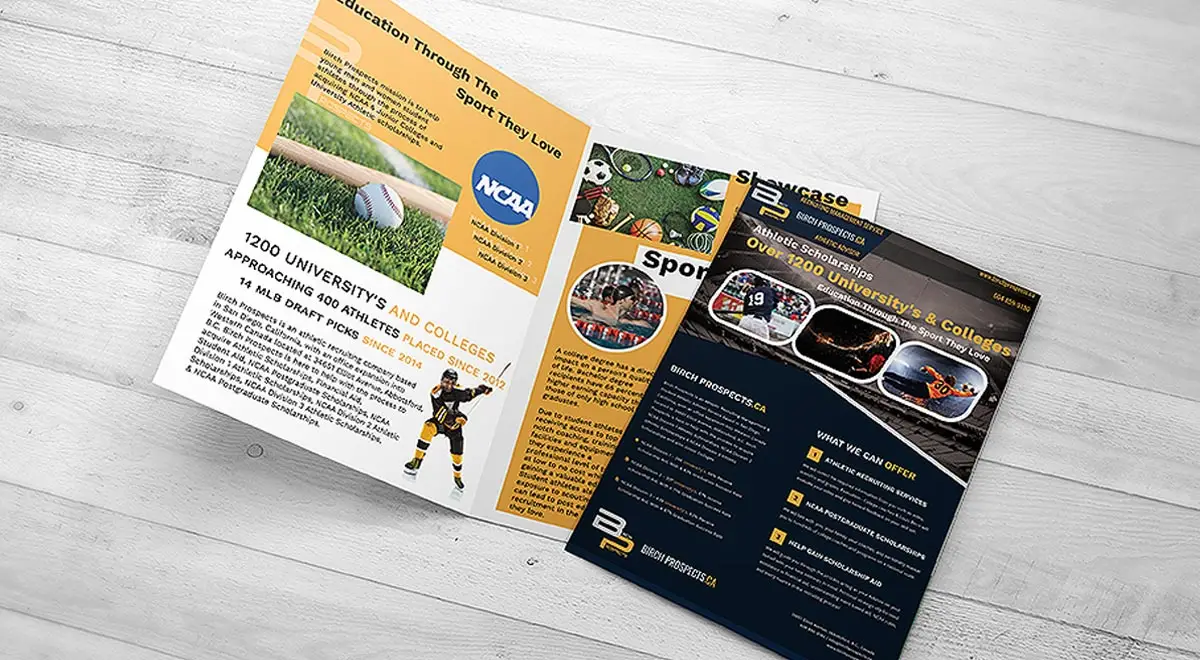 Birch Prospects E.B. Web Recent Brochure Print Design Project Details Project Details