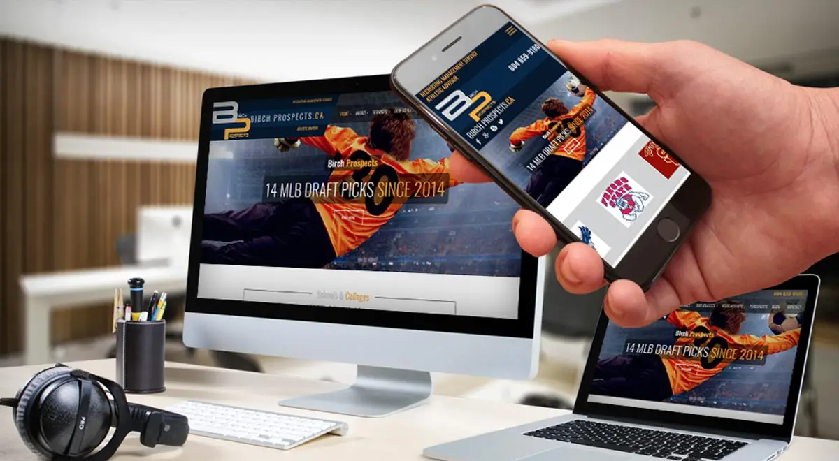 Birch Prospects E.B. Web Recent Web Design Project Details